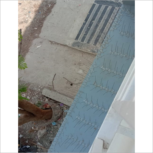Anti Bird Spikes Services