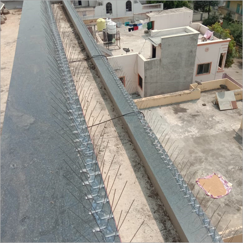 Anti Bird Spikes Services