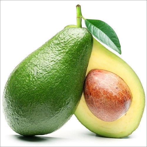 Fresh Avocado Origin: India