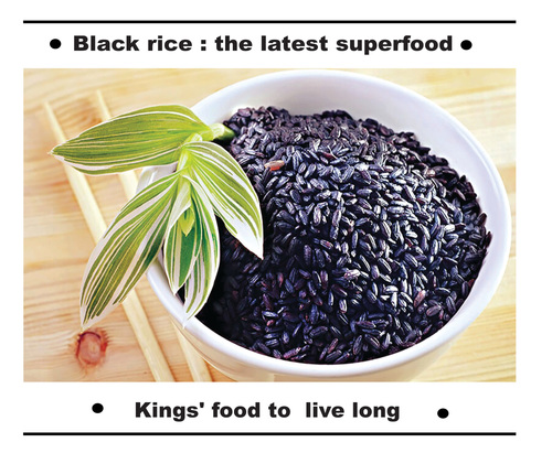 ब्लैक राईस