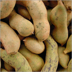 Tamarind