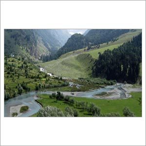 घरेलू टूर पैकेज