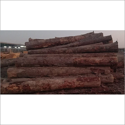 सॉलिड स्पाई लाइन राउंड लॉग्स