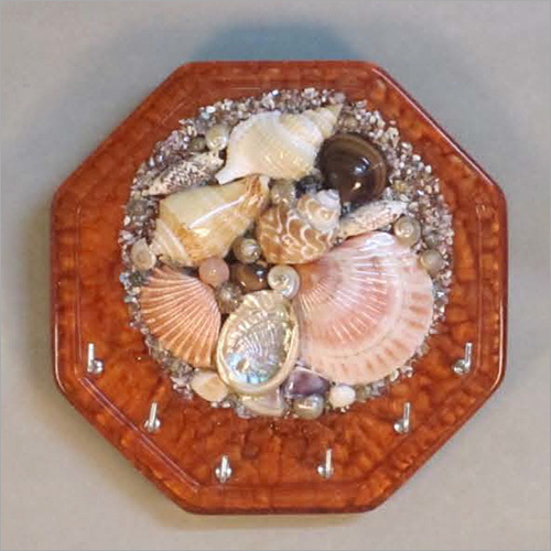 Modern Seashell Key Holder - Color: Multicolor