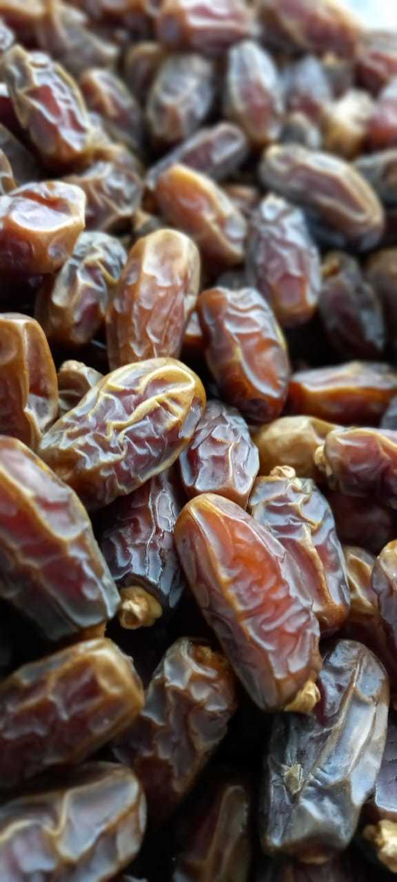 Mabroom Dates - Medium Size, Brown Color | 1 Kg Bulk Packaging, Anti-bacterial And Anti-fungal Properties, Natural Antioxidants