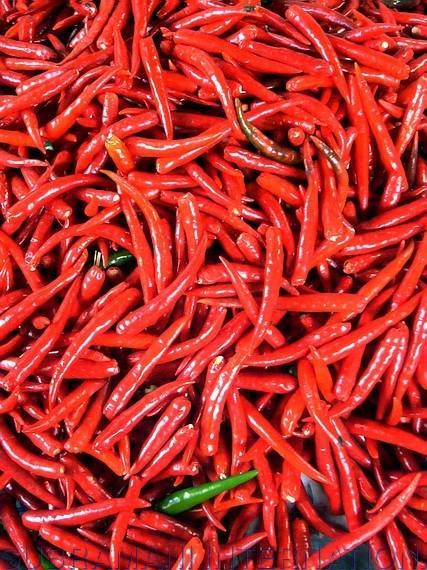 लाल मिर्च