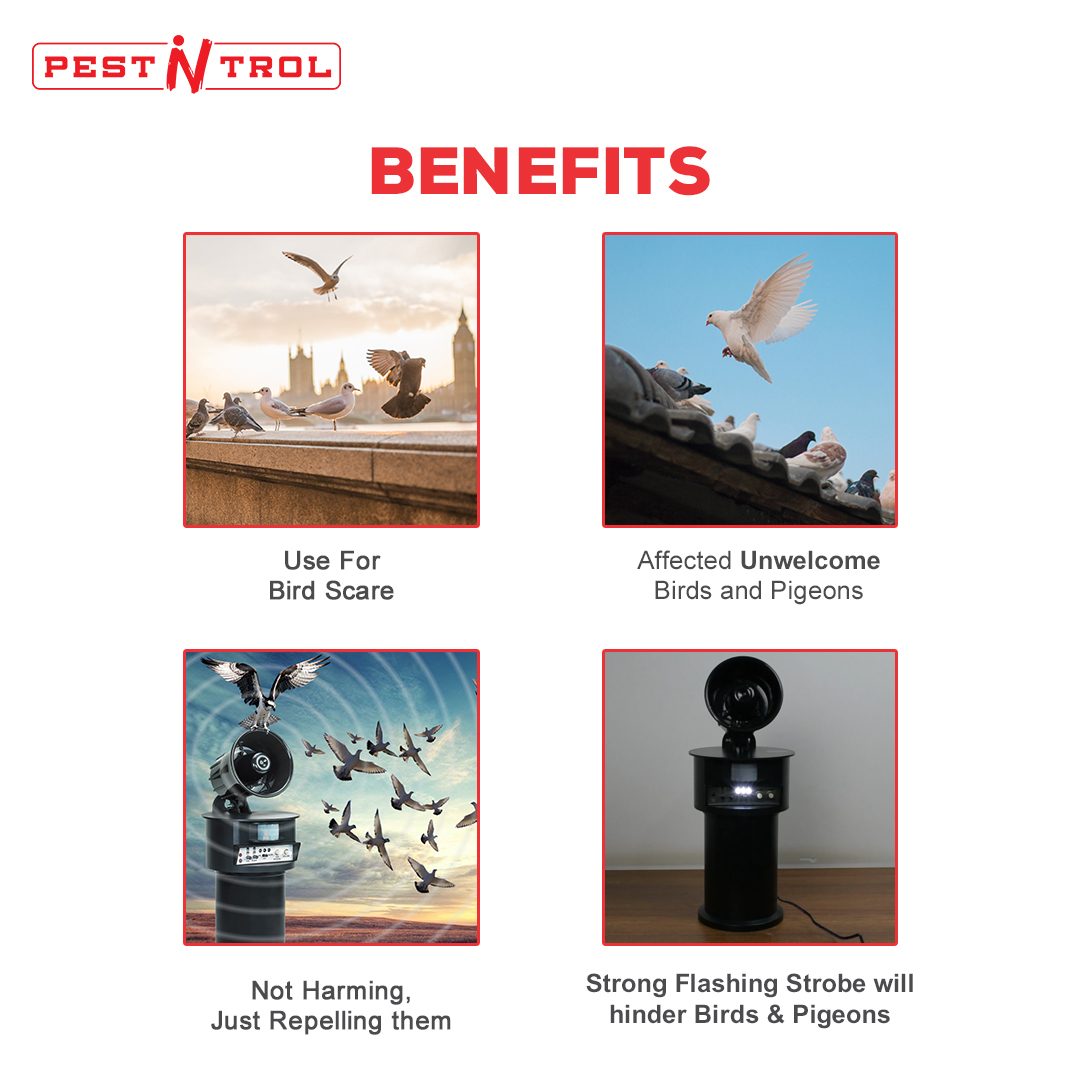 Abs Plastic Bird Pigeon Repeller