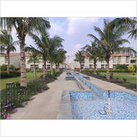 खजूर का पेड़ दिखाएँ