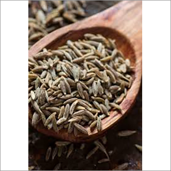 Pure Cumin Seed - 1000 Kilograms, Brown Color, Organic Cultivation, High Purity, Low Moisture (Below 7%), Edible With 12 Months Shelf Life
