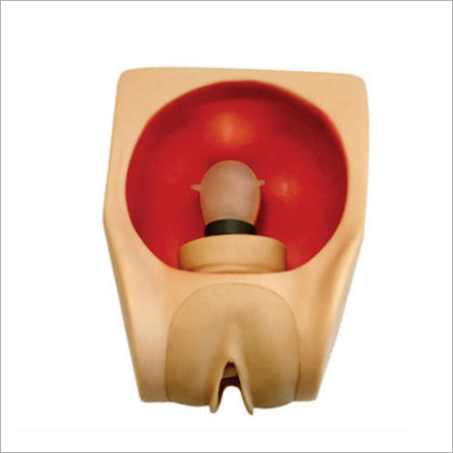 उन्नत महिला गर्भनिरोधक अभ्यास मॉडल