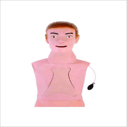 स्किन नासोगैस्ट्रिक फीडिंग और ट्रेकिआ इंटुबैशन केयर ट्रेनिंग मॉडल