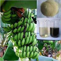 प्रोटामिन- कैल्शियम (कैल्शियम एमिनो एसिड चेलेट) Ca 12%