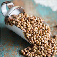 व्हाइट मोथ बीन्स