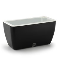 सजावटी बर्त