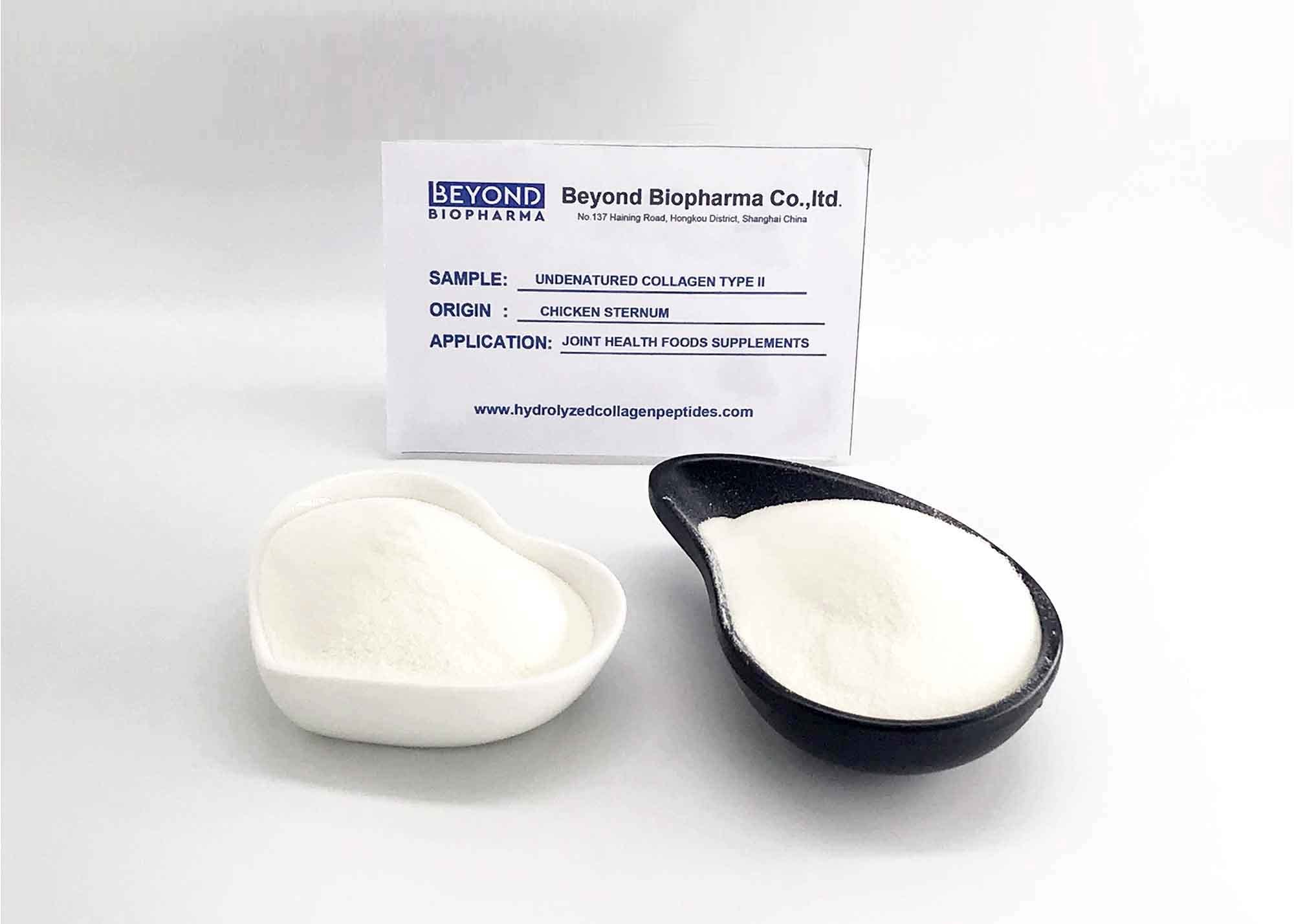 Native Collagen Powder Type Ii From Chicken Sternum For Joint Health Cas No: 9007-34-5