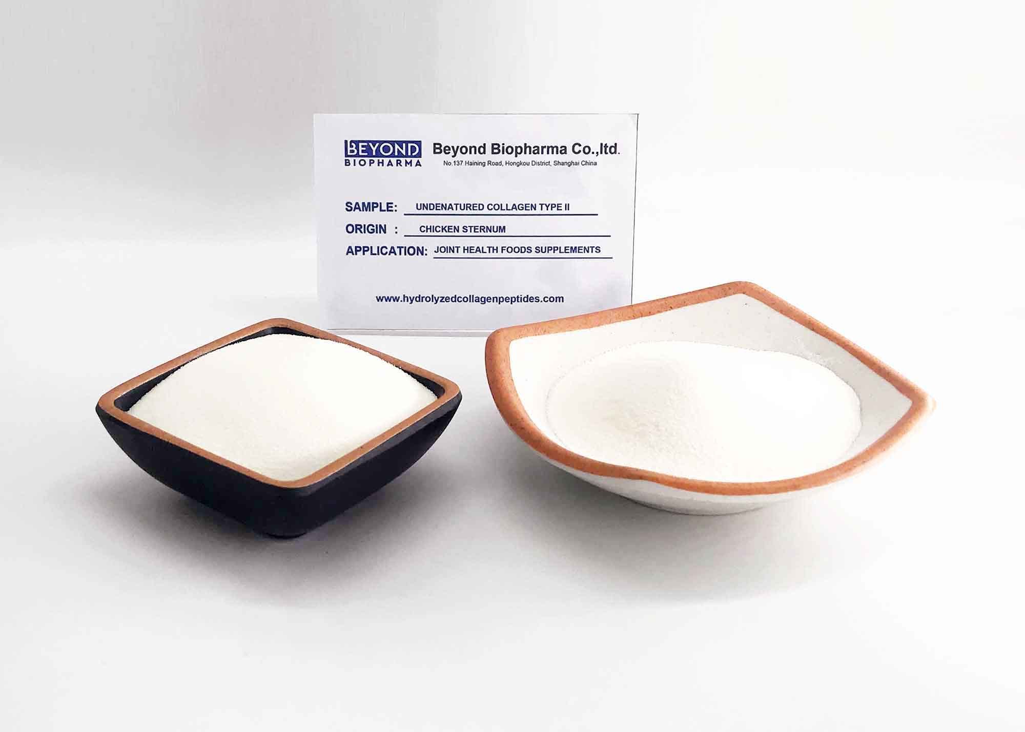 Native Collagen Powder Type Ii From Chicken Sternum For Joint Health Cas No: 9007-34-5
