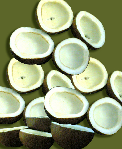 नारियल खोई