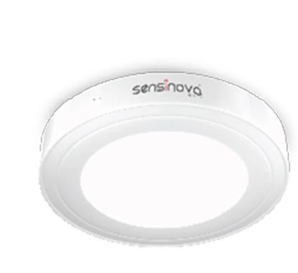 Tulip On Off Or Dimmable  Feature Application: Residential As Well As Commercial Locations Like ; Lift Lobby