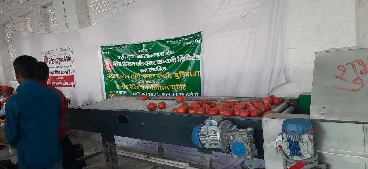 Automatic Fruit Grading Machine - Mild Steel, 3000x1500x1000 Mm , 200 Boxes Per Day Capacity, 2 Hp Power, 1 Year Warranty