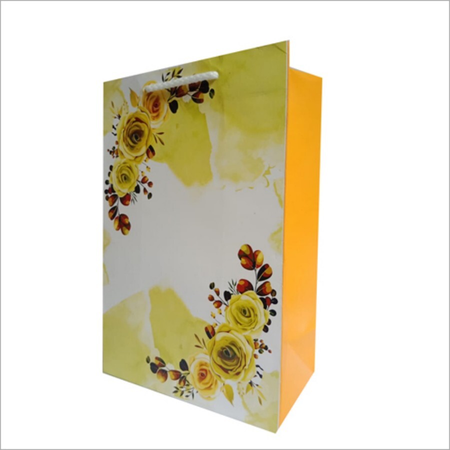 Digital Print Gift Paper Bag - 6"×9"×3.2" | Biodegradable, Recyclable, Sturdy Design with Rope Handles, Various Colors & Patterns
