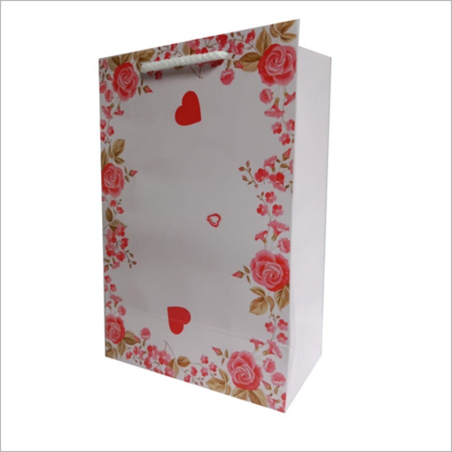 Printed Gifts Paper Bag - Gift Paper, 10"x12"x4", White | Rope Handle, Moisture Proof, Recyclable, Attractive Design for Gift Items