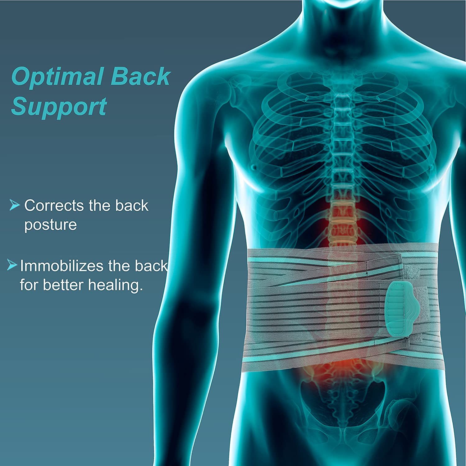 Lumbo Sacral Support Belt - Elastic Webbing, Sizes M/l/xl, Grey - Comfortable Immobilization, Double Pull Mechanism, Highly Ventilated Design