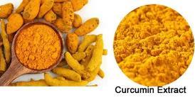 Yellow Curcumin(Turmeric) 10-99%