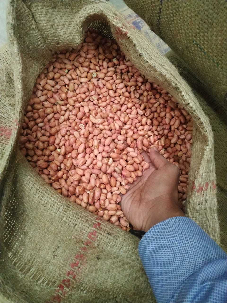 Peanut 60/70