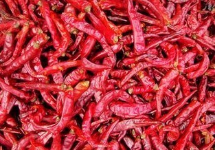 Red Chili Pepper(Capsicum Extract)