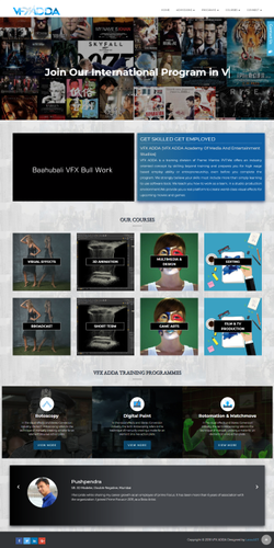 फ्लैश एनिमेशन वेबसाइट डिजाइन