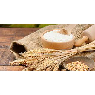 Wheat Grain