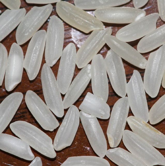 High Quality Organic Tarawari Organic Brown Rice Admixture (%): 5