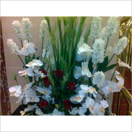 Plant Extracts