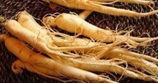 Brown Ginseng Essential Oil