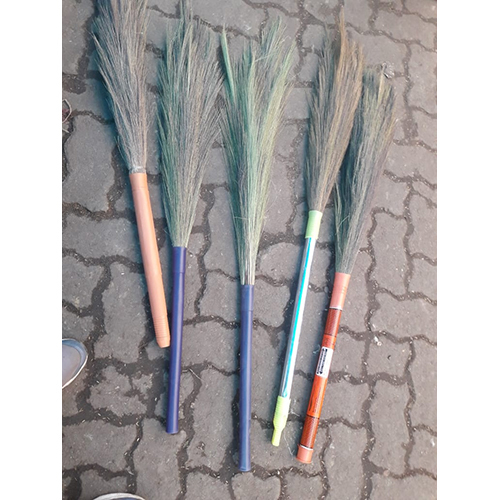 Broom Grass