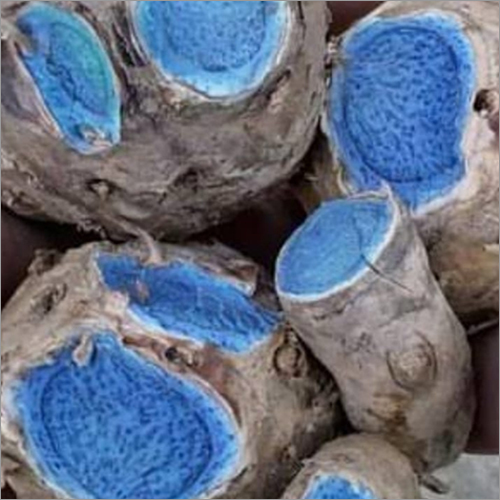 काला हल्दी