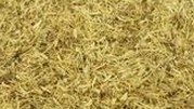 Liquorice(Liquorice P.E. or liquoriceroot Extract)