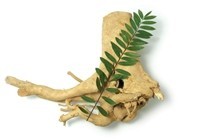 Eurycoma longifolia powder extract(Tongkat Ali extract)