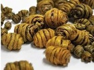 Dendrobium nobile Extract