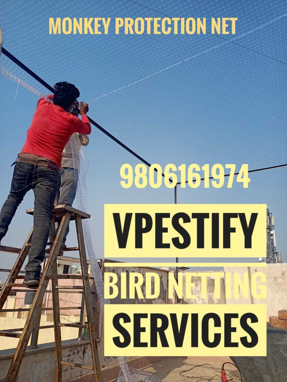Hotel Bird Netting Application: Building