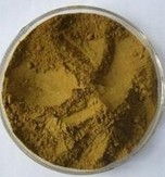 Brown Olive Leaf Extract