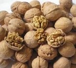 Walnut Kernel Extract