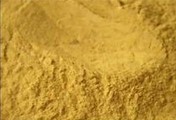 Cortex Phellodendri Extract