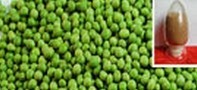 Mung Bean Extract
