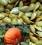 Brown Pumpkin Seed Extract