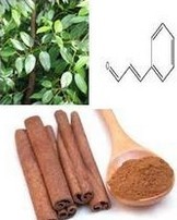 Cinnamon Extract