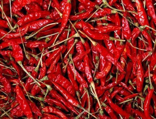 Red Chilli Powder