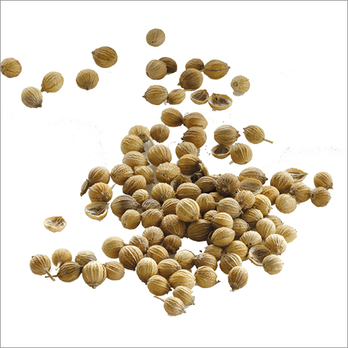 धनिया के बीज की नमी (%): शून्य