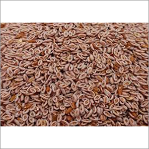 Organic Natural Psyllium Seeds