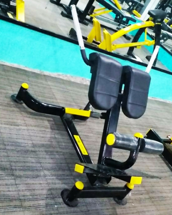Hyperextension Bench Application: Endurance